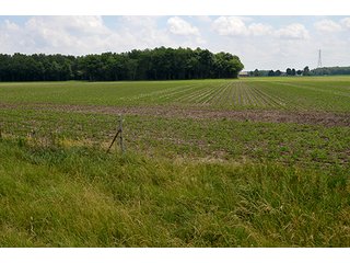 Property photo 126 - LAND AUCTION - 700+/- ACRES OFFERED IN 16 TRACTS IN ALLEN COUNTY, INDIANA